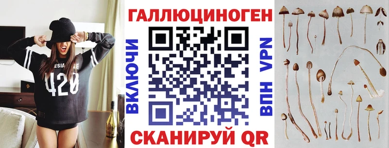 закладки  маркетплейс телеграм  Псилоцибиновые грибы Magic Shrooms  Ардатов 
