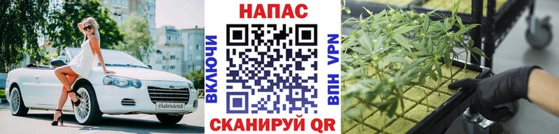 Конопля Bruce Banner  купить   Ардатов 